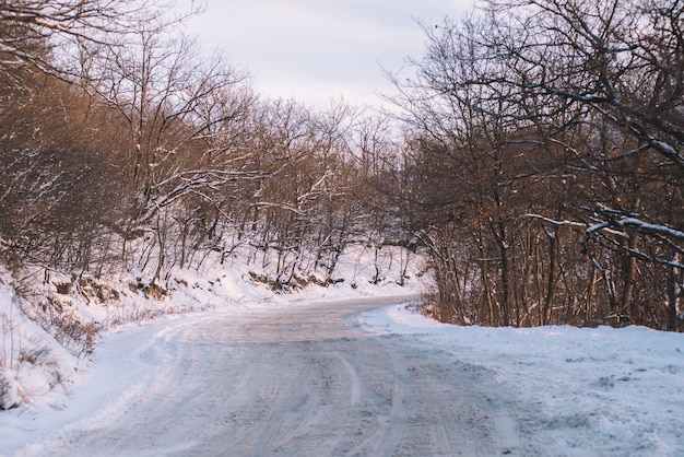 Frozen Road In The Forest At Sunset