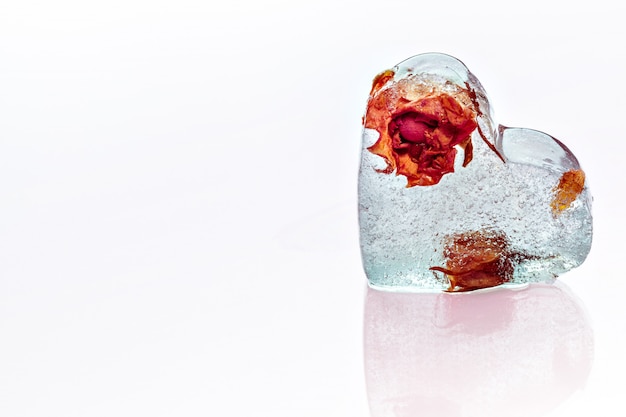 Frozen rose in ice cube