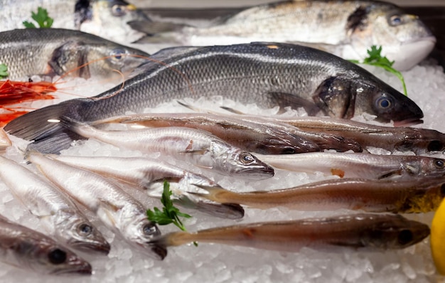 Photo frozen seafood display