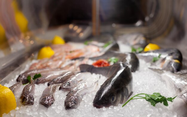 Photo frozen seafood display