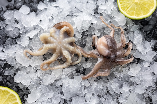 frozen seafood in a fish shop