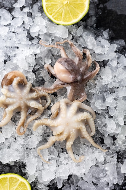 frozen seafood in a fish shop