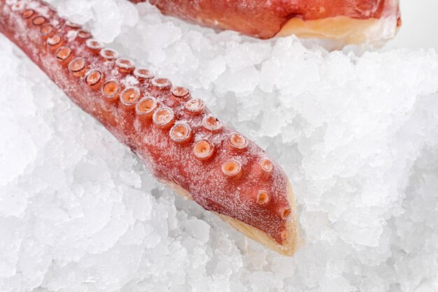 frozen seafood in a fish shop