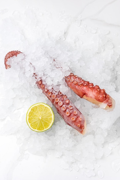 frozen seafood in a fish shop