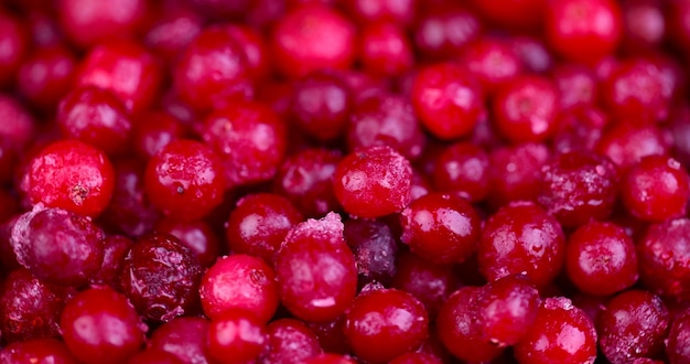 Photo frozen for storage ripe red cranberries