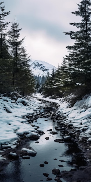 Frozen Stream Flowing Through Wooded Mountains A Captivating Nature Photograph