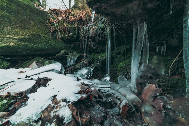 Frozen stream in the mountain park