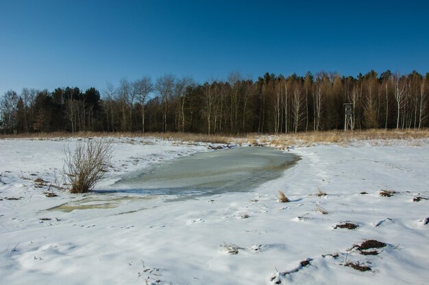 Frozen water on a meadow snow and forest