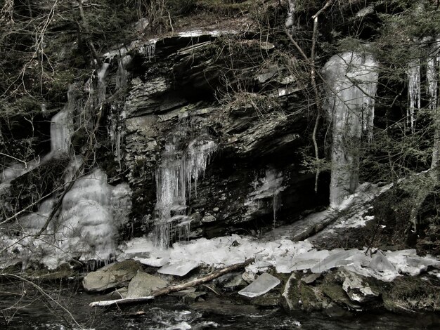 写真 岩の上に凍った水