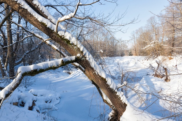 Frozen water in the river during frosts, winter season with frosts