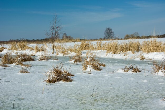 Фото Замороженные водно-болотные угодья на зимнем горизонте и небе