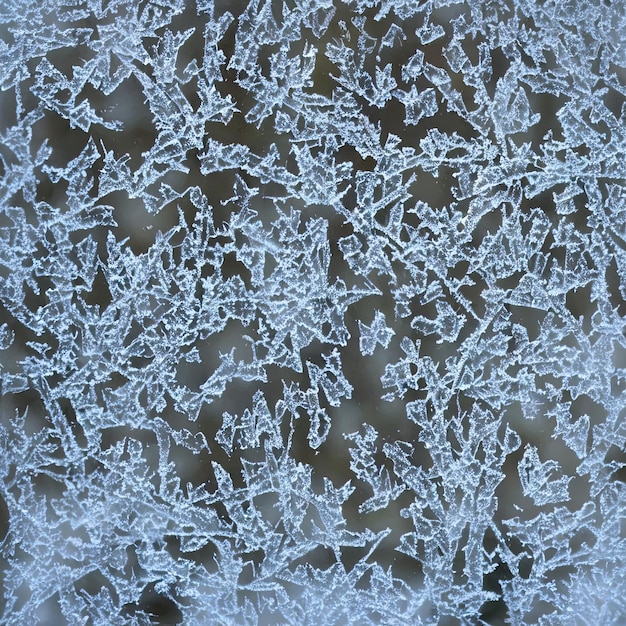 Frozen window glass