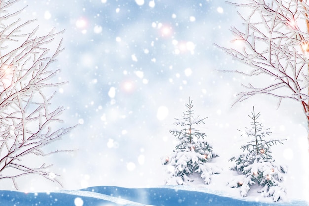 雪に覆われた木々のある凍った冬の森