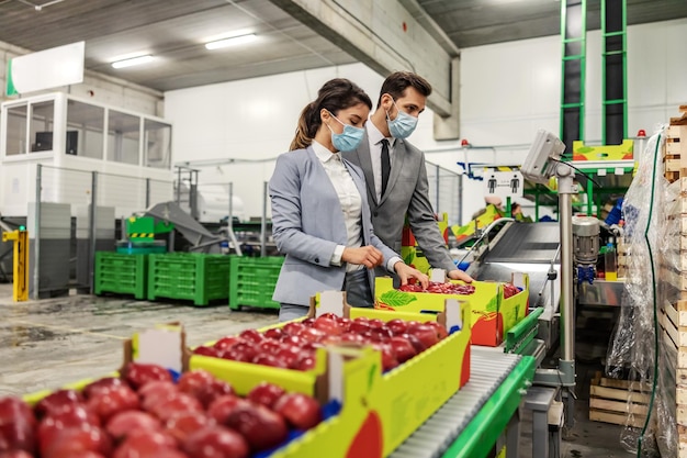 Ispezione di frutta e mele da parte della direzione dell'azienda