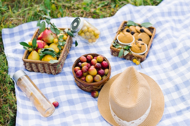 Fruit and berries in picnic baskets on a blue white checkered tablecloth on a green lawn and fresh pastries