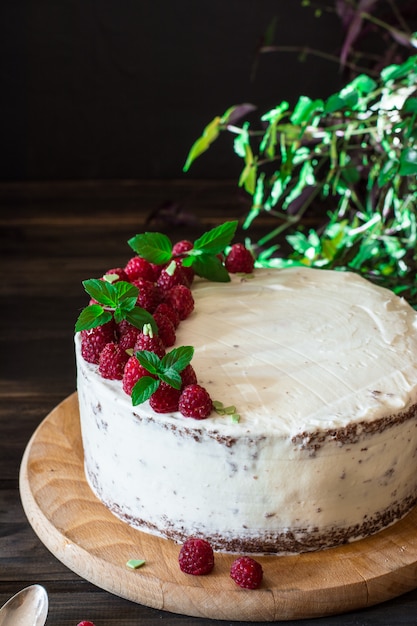 fruit cake. Raspberry cake with chocolate. Chocolate cake. Mint decor. Cheesecake. 