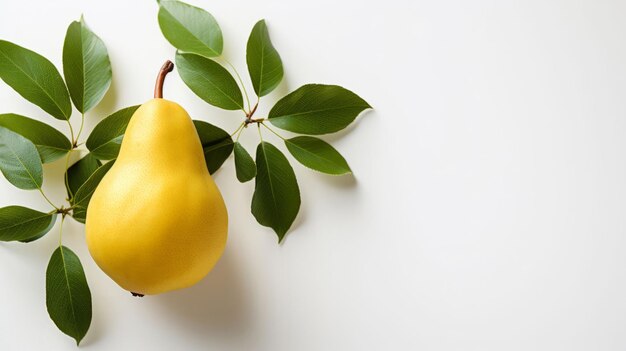 Fruit pear and healthy food in studio for vegan diet snack and vitamins Mockup white background and flatlay of organic fresh and natural agriculture produce for vegetarian nutrition