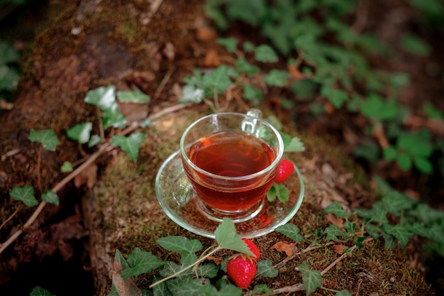 Fruit red tea with wild berries in glass cup in forest on\
bright background summer season concept of tea time and summer soft\
selective focus