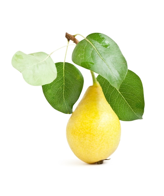 Fruit. yellow pears with green leaves isolated on white surface