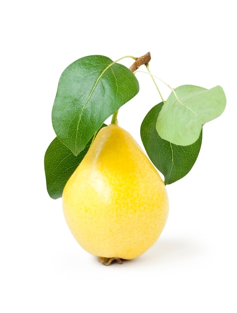 Fruit. yellow pears with green leaves isolated on white