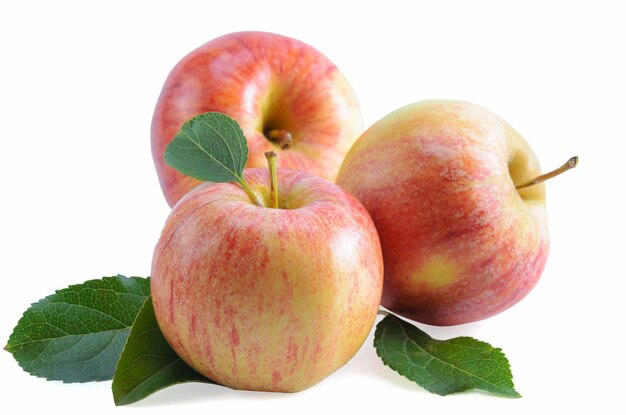 fruits of apples on a white background blank for your photo manipulations