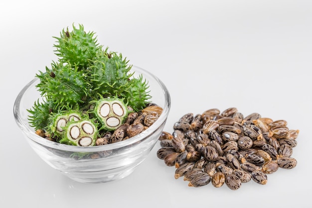 Fruits and castor oil in bowl isolated on white background