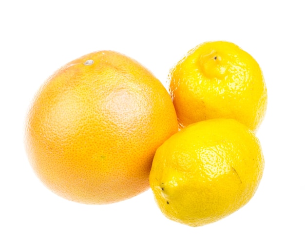 Fruits citrus