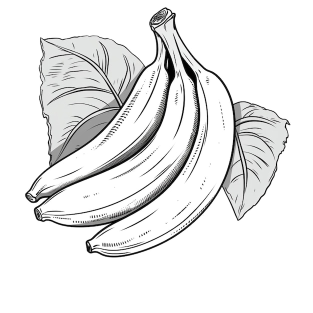 Photo fruits coloring page