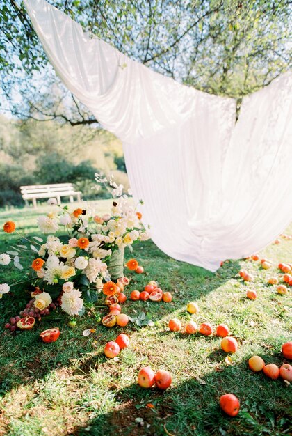 Photo fruits and flowers on grass during sunny day