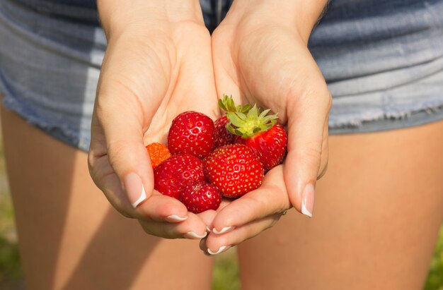 Fruits of strawberries in the ladies' hands