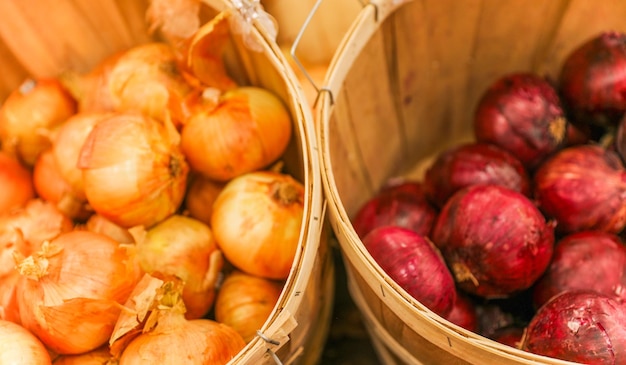 fruits and vegetables symbolize nourishment growth and diversity Potatoes tomatoes onions appl