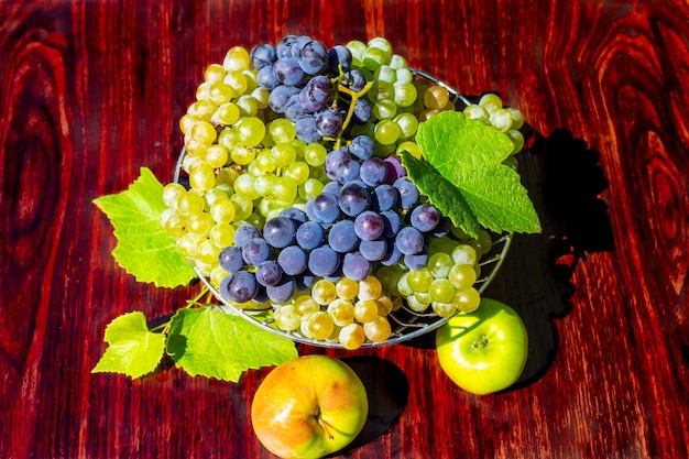 Fruitschaal op tafel Trossen groene en zwarte druiven en appels vers geoogst