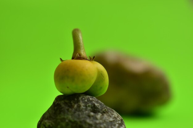 Photo frutas y semillas de colombia