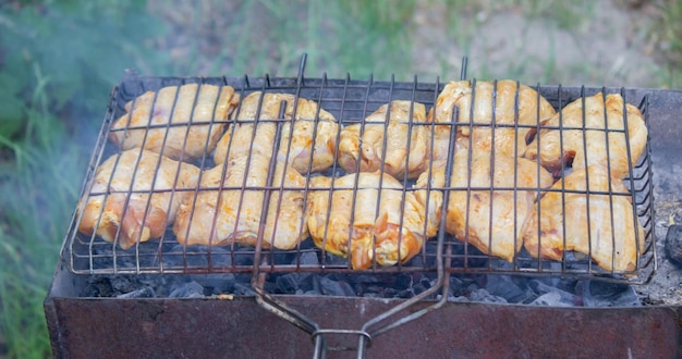 焼き鳥の串焼き 自然の中でピクニック