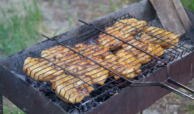 焼き鳥の串焼き 自然の中でピクニック