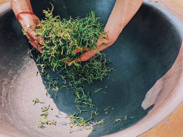 Photo frying spring tea