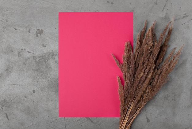 Fuchsia colored blank sheet of paper and dried flowers on a concrete background Copy space flat la