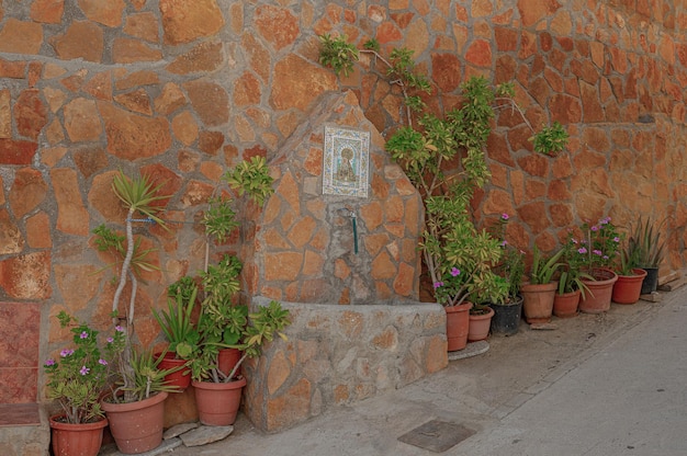 Fuente met plantas