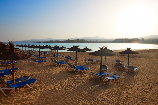 Photo fuerteventura caleta del fuste canary islands