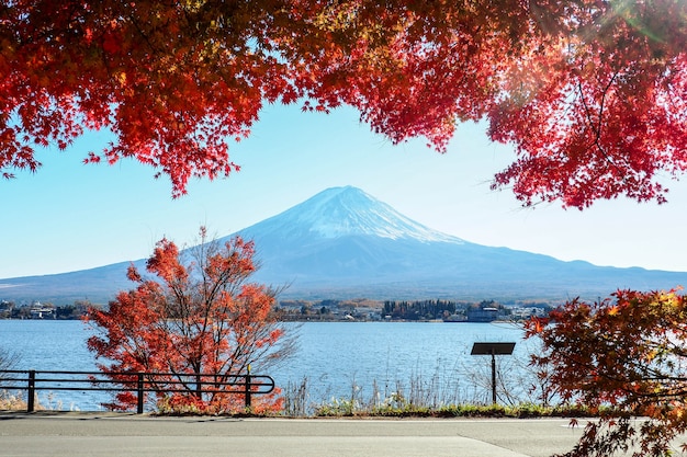 fuji-berg in de herfstseizoen