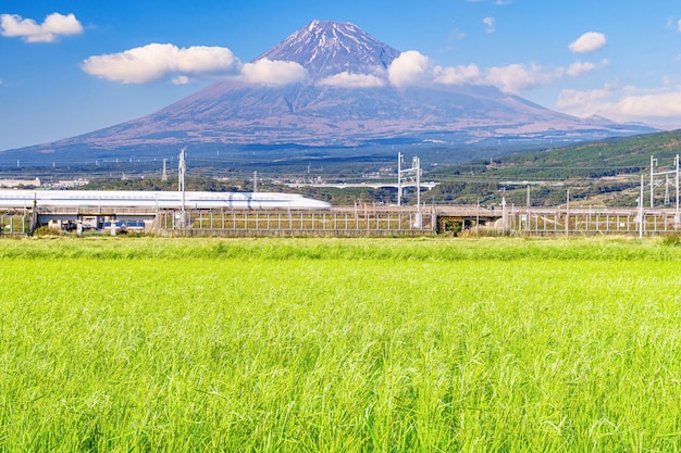 Fuji-berg met padieveld.