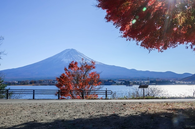 fuji mounta in het herfstseizoen