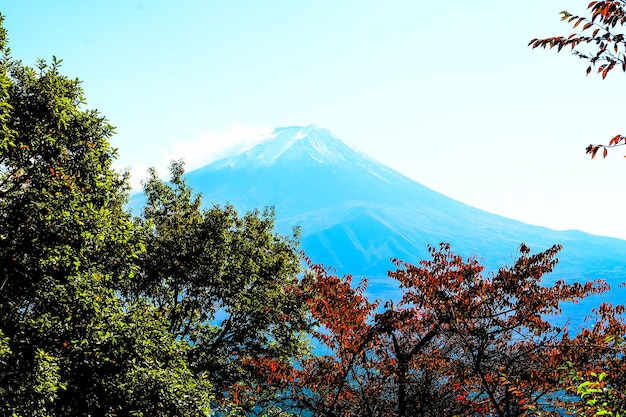 富士山は紅葉が美しい