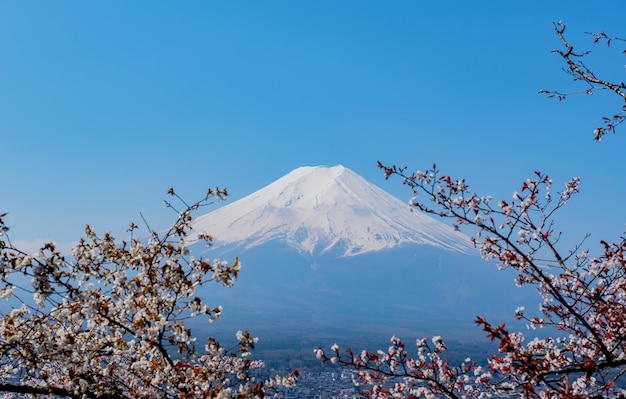 Paesaggio montuoso del fuji. viaggi e visite turistiche in giappone in vacanza. relax e svago per il fiore di sakura in primavera e in estate.