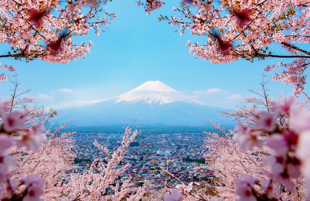 富士山の景観。休日の日本旅行と観光。春夏の桜の花。