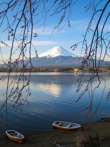 Fuji mountain view through lake and sakura flower branches with reflection and boat