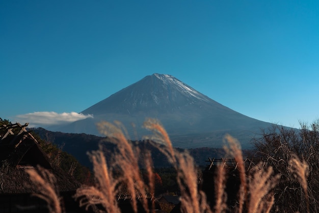 Photo fuji mountain view