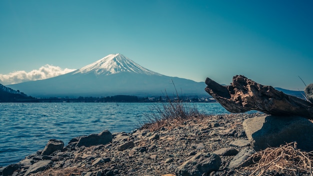 富士山の眺め