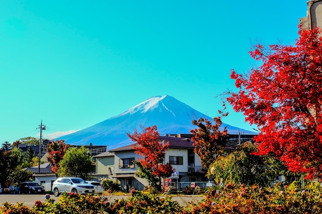 富士山山梨2016年11月