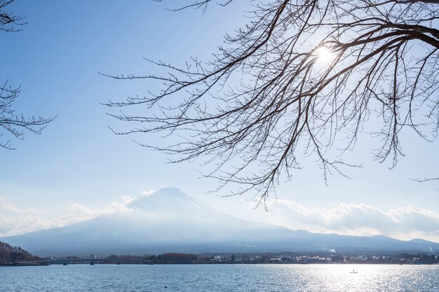 河口湖からの富士山